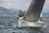 animal gbr3627l kip15 0538w